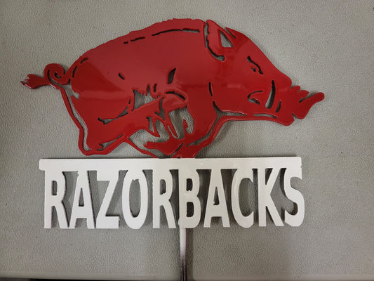 Arkansas Razorbacks